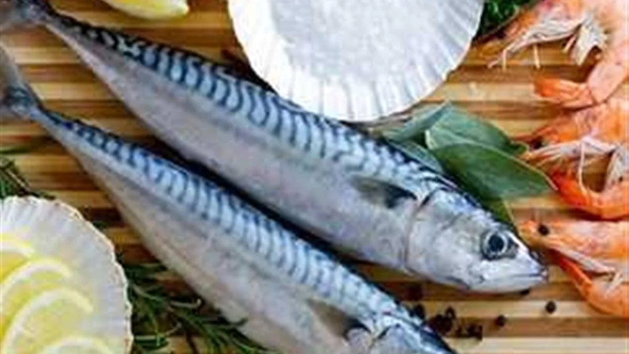 تباين أسعار السمك في الأسواق المصرية خلال تعاملات اليوم 31 مارس الجاري